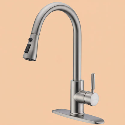 WEWE Single Handle High Arc Brushed Nickel Pull Out Kitchen Faucet,Single Level Stainless Steel Kitchen Sink Faucets with Pull Down Sprayer,Suitable for Laundry Rv Bar|B01H3OMH7Y