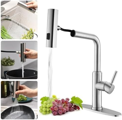 WEWE Single Handle High Arc Brushed Nickel Pull Out Kitchen Faucet,Single Level Stainless Steel Kitchen Sink Faucets with Pull Down Sprayer,Suitable for Laundry Rv Bar|B01H3OMH7Y